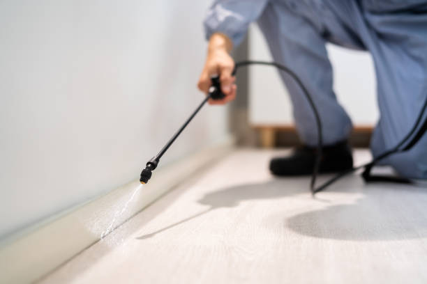 Licensed Pest Control service in Okmulgee, OK - Show Me Pest Control