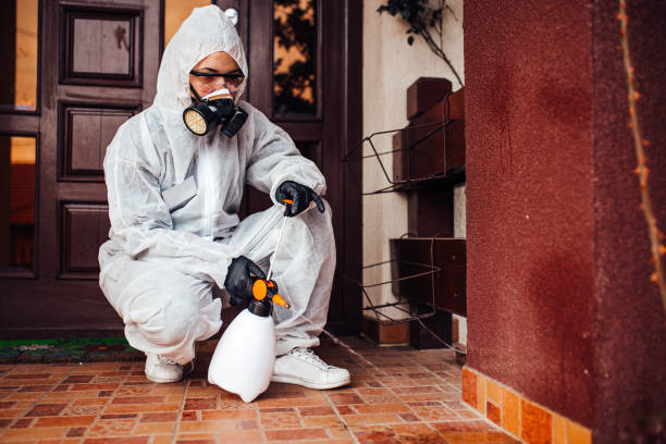 Multi-Unit and Airbnb Bed Bug Protocol in Okmulgee