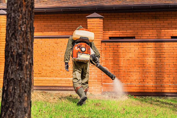 Bed Bug Clearance Verification and Documentation in Okmulgee
